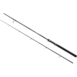 Lanseta EnergoFish Wizard Active Spin, 2.00m, 10-30g, 2seg