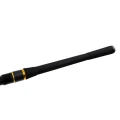 Lanseta FORMAX Aries Spin, 2.43m, 20-60g, 2seg