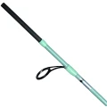 Lanseta Herakles Enigma 800MH, 2.40m, 10-30g, 2seg Lanseta Herakles Enigma 800MH, 2.40m, 10-30g, 2seg
