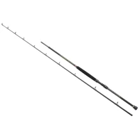 Lanseta Penn Regiment Iii Boat Braid 822 H, 20-30lbs, 2.50m, 2seg