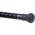 Lanseta SHIMANO Beastmaster BX Boat Quiver, 250g, 2.70m, 2+2seg
