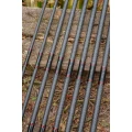 Lanseta ZEBCO Demonic Spinning Rod ML, 2-12g, 2.20m, 2seg