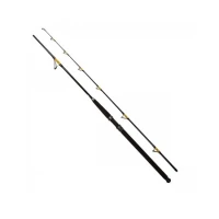 Lanseta Fl Catfish Passion Pro 2.40m 300-600g