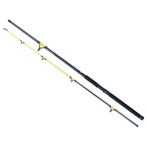 Lanseta Baracuda Catfish Fighter 3002 3.00M 50-150g 2seg