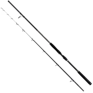 Lanseta FORMAX Black River, 2.40m, 80-240g, 2seg