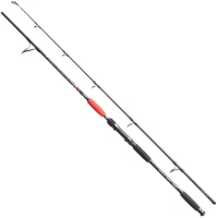 Lanseta Jaxon Catfish E Spin & Troll, 2.10m, 160g, 2seg