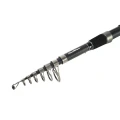 Lanseta FORMAX Aesthenic NG Telecarp 3.00m, 3lbs