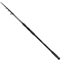 Lanseta FORMAX Aries Silver Carp 3.60m, 60-180g