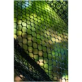 Minciog ZEBCO Latex Fast Net, 50x40cm Minciog ZEBCO Latex Fast Net, 50x40cm