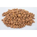Alune Tigrate TIGERNUTS Mixed, 8-15mm, 10kg