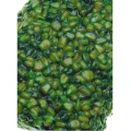 Porumb Preparat Claumar Special Amur Verde 1kg Porumb Preparat Claumar Special Amur Verde 1kg