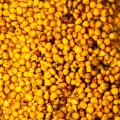Seminte Preparate SENZOR Semix, Usturoi, 3kg