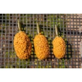 Method Feeder ICS Inline PRESTON Dura Flat Heavy, Medium 75g Method Feeder ICS Inline PRESTON Dura Flat Heavy, Medium 75g