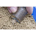 Momitor PRESTON Elasticated Pellet Feeder, XLarge, 50g, 1buc/pac Momitor PRESTON Elasticated Pellet Feeder, XLarge, 50g, 1buc/pac