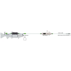 Montura Somn DAM Madcat Adjusta P River DeadBait 1.00mm, 3/0-10/0, 180cm, 60g Montura Somn DAM Madcat Adjusta P River DeadBait 1.00mm, 3/0-10/0, 180cm, 60g