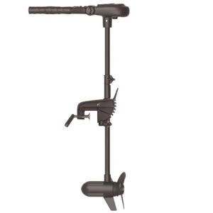 Motor Electric HASWING Protruar 3 HP 110lbs Brushless