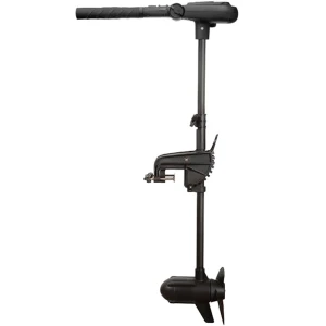 Motor Electric HASWING Protruar V2 1 HP 65lb, Brushless