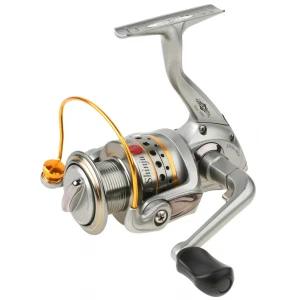 Mulineta Shinju 2004 Fd