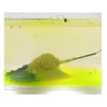 Nada Feeder CLAUMAR Nuclear, Capsuna - Usturoi, 800g Nada Feeder CLAUMAR Nuclear, Capsuna - Usturoi, 800g