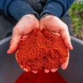 Nada MAINLINE Mix Red Supereme, 1kg Nada MAINLINE Mix Red Supereme, 1kg