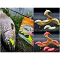 Naluca FISHUP Ozi Cheese, 111 Hot Chartreuse, 3cm, 10buc/pac Naluca FISHUP Ozi Cheese, 111 Hot Chartreuse, 3cm, 10buc/pac