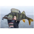 Naluca FISHUP Tanta, 026 Flo Chartreuse Green, 5cm, 9buc/pac Naluca FISHUP Tanta, 026 Flo Chartreuse Green, 5cm, 9buc/pac