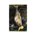 Naluca FISHUP Tanta, 026 Flo Chartreuse Green, 5cm, 9buc/pac Naluca FISHUP Tanta, 026 Flo Chartreuse Green, 5cm, 9buc/pac