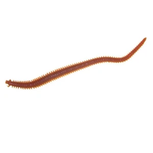 Naluca Berkley Gulp Sandworm  Dark Brown 15cm Naluca Berkley Gulp Sandworm  Dark Brown 15cm
