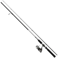 Combo Daiwa Sw21bf Df200a Spinning Kit, 10-30g, 2.10m, 2seg