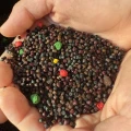 Mix Pelete SENZOR Editie Limitata, 2-3mm, 5kg Mix Pelete SENZOR Editie Limitata, 2-3mm, 5kg