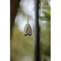 Plumb Culisant KORDA Solidz Inline Pva, 56g, 1buc/pac Plumb Culisant KORDA Solidz Inline Pva, 56g, 1buc/pac