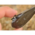 Plumb KORDA COG Flat Distance, 4oz/112g Plumb KORDA COG Flat Distance, 4oz/112g