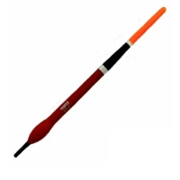 PLUTA MOSTIRO MIHAELA R CULISANTA 4GR