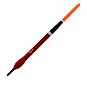 PLUTA MOSTIRO MIHAELA R CULISANTA 4GR