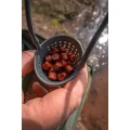 Cupa Rezerva Prastie Korum Allrounder Catapult Spare Pouch Cupa Rezerva Prastie Korum Allrounder Catapult Spare Pouch