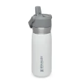 Sticla Apa Stanley The IceFlo Flip Straw Water Bottle Polar 0.65L 