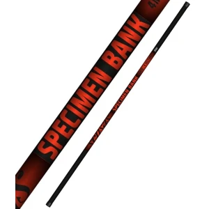 Rubesiana SENSAS Specimen Bank, 4.30m