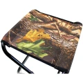 Scaun Zfish Pliabil, 31x28x37cm Scaun Zfish Pliabil, 31x28x37cm