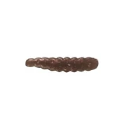 MOTH WORM COLMIC HERAKLES 2.5CM LIVE PELLET 18/PLIC MOTH WORM COLMIC HERAKLES 2.5CM LIVE PELLET 18/PLIC