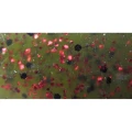 SHAD BIWAA VENUM TAIL  10cm 04 Watermelon Red SHAD BIWAA VENUM TAIL  10cm 04 Watermelon Red