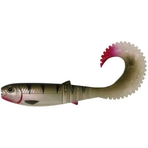 SHAD SAVAGE LB CANNIBAL CURLTAIL 10CM/5G/PERCH 4BUC/PLIC SHAD SAVAGE LB CANNIBAL CURLTAIL 10CM/5G/PERCH 4BUC/PLIC