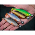 Shad BEKLEY Pulse Realistic Roach, Firetiger, 15cm, 32buc/pac