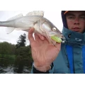 Shad Delalande Skeleton 11cm White Red Head 61 Shad Delalande Skeleton 11cm White Red Head 61