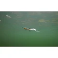 Shad FOX RAGE Slick EEL, Hot Olive, 42cm, 1buc/plic