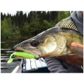 Shad Keitech Easy Shiner, Red Crawdad 404, 10cm, 7buc/pac  Shad Keitech Easy Shiner, Red Crawdad 404, 10cm, 7buc/pac