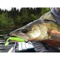 Shad Keitech Easy Shiner, Wakasagi 412, 10cm, 7buc/pac  Shad Keitech Easy Shiner, Wakasagi 412, 10cm, 7buc/pac