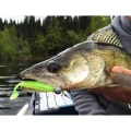 Shad Keitech Easy Shiner, Wakasagi 412, 8.9cm, 7buc/pac  Shad Keitech Easy Shiner, Wakasagi 412, 8.9cm, 7buc/pac