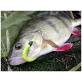 Shad Keitech Swing Impact, Chartreuse Red Flake PAL01, 11.5cm, 6buc/pac