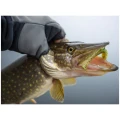 Shad Keitech Swing Impact, Chartreuse Red Flake PAL01, 8.9cm, 8buc/pac Shad Keitech Swing Impact, Chartreuse Red Flake PAL01, 8.9cm, 8buc/pac