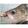 Shad Pontoon21 GAD Footsie 9cm 2222 Shad Pontoon21 GAD Footsie 9cm 2222